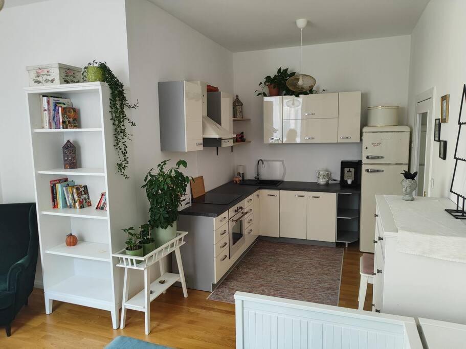 Studio With Balcony In Vinohrady Praha